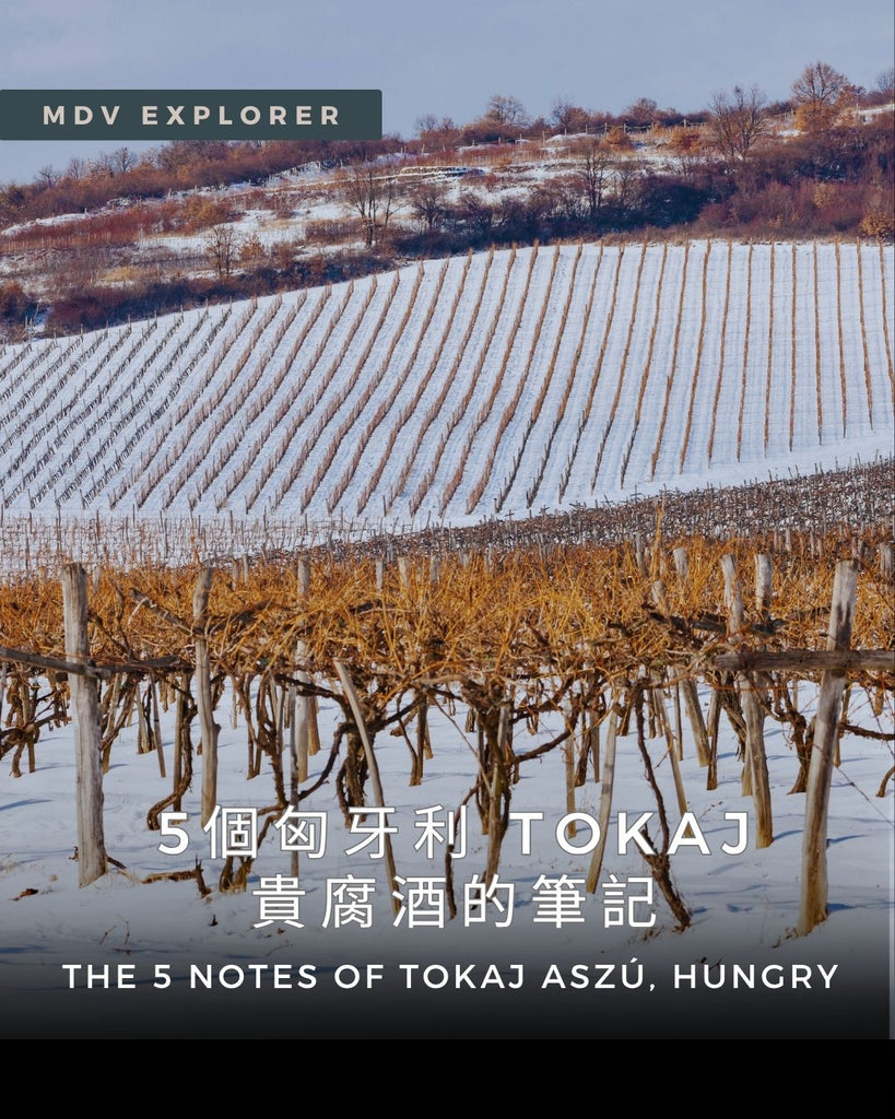 The 5 Notes of Tokaj Aszú, Hungry