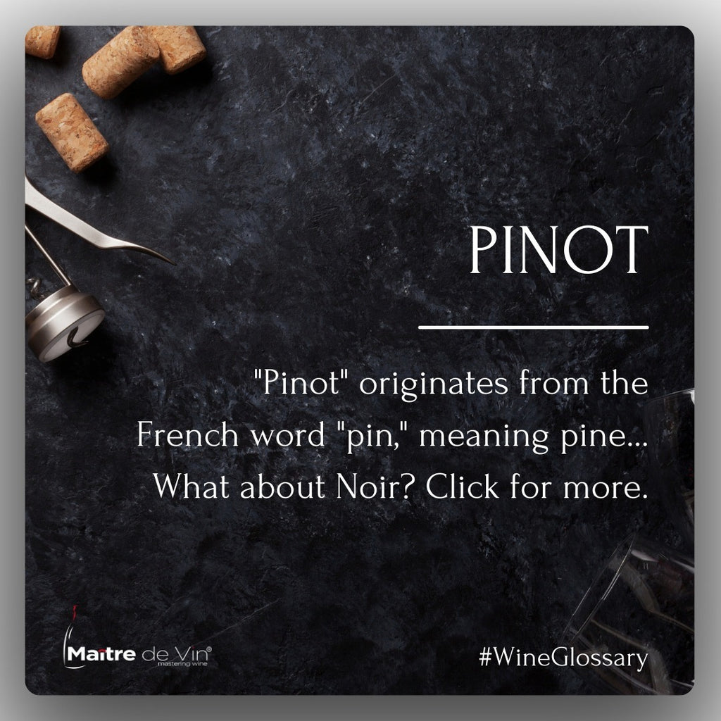什麼是皮諾 (Pinot)?