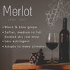 Maitre de Vin® Wine Dispenser